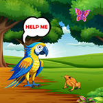 Provide Food To Macaw