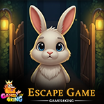 Rabbit Maze Escape