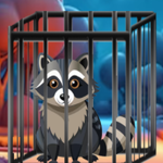 Raccoon Rescue Escape