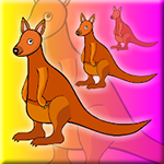 Red Kangaroo Escape From Cage