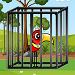 Red Wader Rescue