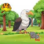Release Eagle Caught Rat