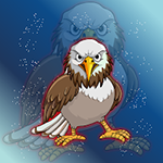 Release The Angry Hawk