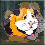 Release The Cavia Porcellus From Cage