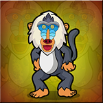 Release The Wild Baboon