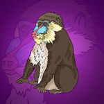 Rescue The Baboon Monkey