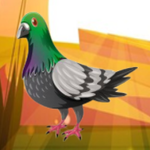 Rescue The Caged Donkey