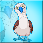 Rescue The Locked Booby Bird