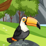 Rescue The River Owl