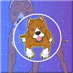 Rescue The Staffy Dog