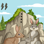 Rooster House Escape