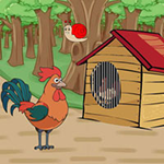 Rooster Release Trapped Hen