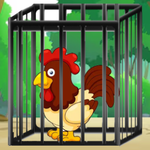 Rooster Rescue Escape