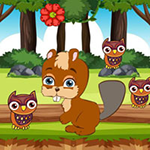 Satisfying The Squirrel Wish