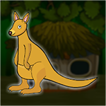 Save The Baby Kangaroo