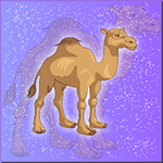 Save The Camel Calf