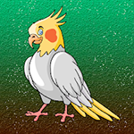Save The Cockatiel Bird