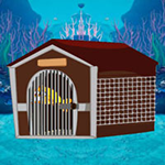 Save The Grandpa Fish