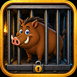 Save The Wild Boar