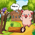 Save Wooden Stuck Tiny Piggy