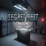 Secret Nest Escape