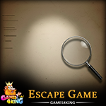 Secretive Detective Escape