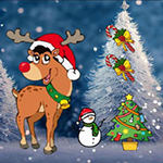Seeks My Young Reindeer