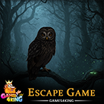 Shadowy Owl Escape