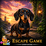 Shortleg Dachshund Escape