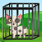 Spotted Cat Escape