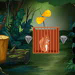 Squirrel Rescue Escape