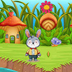 Starving Bunny Find Vegetables