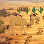 Stone Pillar Desert Escape