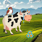 Stop To Crying Mom Cow