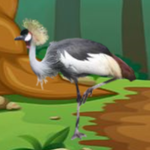 The Caged Heron