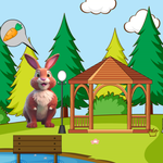 The Forgotten Doctor