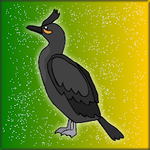 The Phalacrocoracidae Rescue