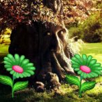 Thick Timber Forest Escape