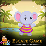 Tiny Elephant Escape