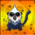 Trachypithecus Popa Rescue