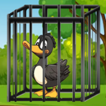 Trapped Duck Escape