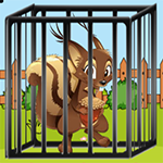 Trapped Squirrel Escape
