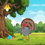 Turkey Forages The Eggs