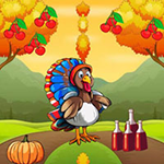 Turkey Pursuing Missed Girlfriend