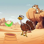 Turkey Stuck The Desert