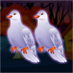 Twin Pigeon Escape From The Cage