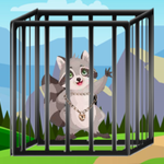 Wild Raccoon Rescue Games2Live