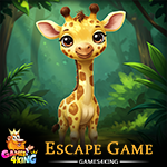 Young Giraffe Rescue Escape