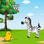 Zebra Discovers The Foal